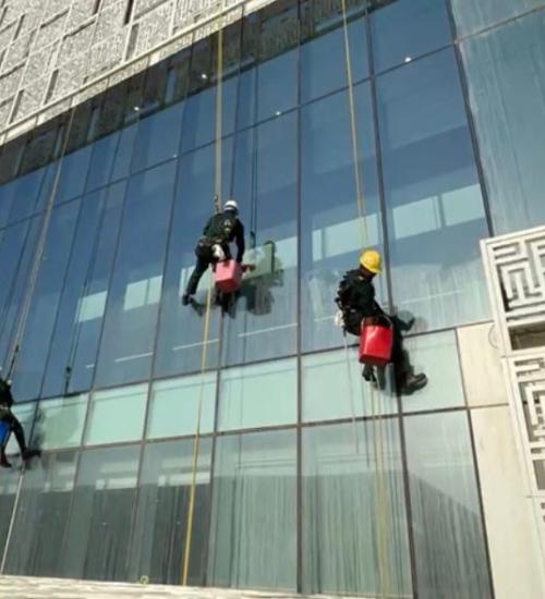 spider cleaning